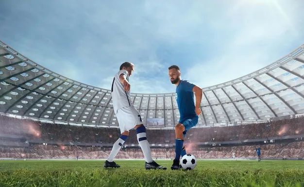 开云体育 App 界面